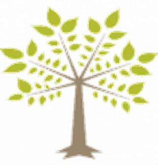 Arbolia Boomwerken